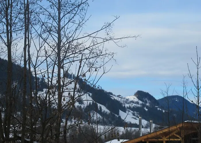 Erharter Appartement Kitzbühel